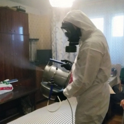Дезинфекция от клопов в Вятских Полянах