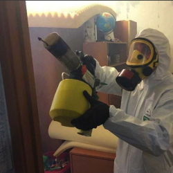 Уничтожение клопов в квартире. Вятские Поляны